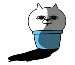 Cat laugh3 sticker #13071743