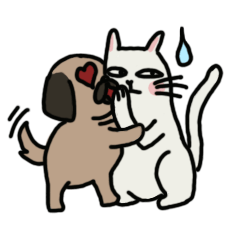 pug and cat's love story