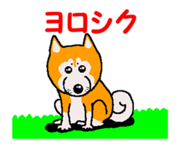 Shiba inu MOMO chan the third as well 34 sticker #13077862