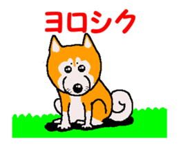 Shiba inu MOMO chan the third as well 34 sticker #13077862