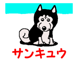 Shiba inu MOMO chan the third as well 34 sticker #13077869