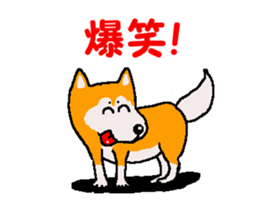 Shiba inu MOMO chan the third as well 34 sticker #13077874