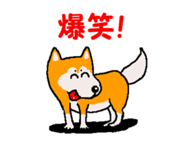 Shiba inu MOMO chan the third as well 34 sticker #13077874