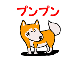 Shiba inu MOMO chan the third as well 34 sticker #13077876