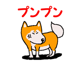 Shiba inu MOMO chan the third as well 34 sticker #13077876