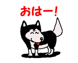 Shiba inu MOMO chan the third as well 34 sticker #13077878