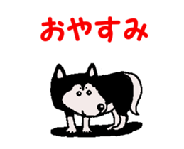 Shiba inu MOMO chan the third as well 34 sticker #13077879