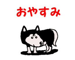 Shiba inu MOMO chan the third as well 34 sticker #13077879