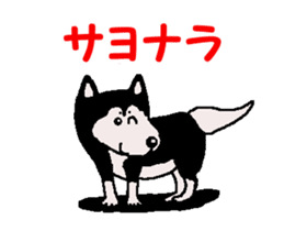 Shiba inu MOMO chan the third as well 34 sticker #13077880