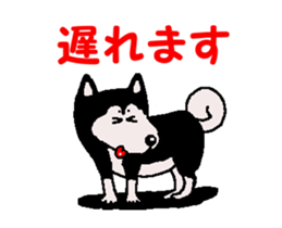 Shiba inu MOMO chan the third as well 34 sticker #13077881