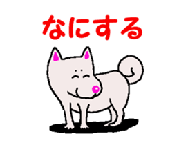 Shiba inu MOMO chan the third as well 34 sticker #13077882