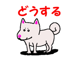 Shiba inu MOMO chan the third as well 34 sticker #13077884