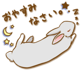 My rabbit Chiyoko sticker #13077975