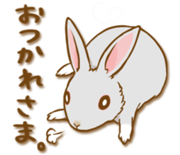 My rabbit Chiyoko sticker #13077976