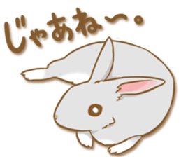 My rabbit Chiyoko sticker #13077979