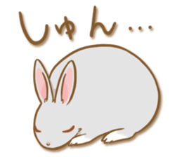 My rabbit Chiyoko sticker #13077980