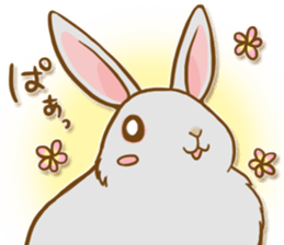 My rabbit Chiyoko sticker #13077981
