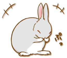 My rabbit Chiyoko sticker #13077982