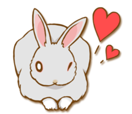 My rabbit Chiyoko sticker #13077986