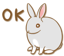 My rabbit Chiyoko sticker #13077989
