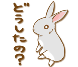 My rabbit Chiyoko sticker #13077991