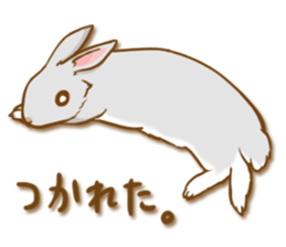 My rabbit Chiyoko sticker #13077992