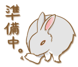 My rabbit Chiyoko sticker #13077993
