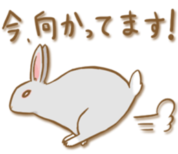 My rabbit Chiyoko sticker #13077994