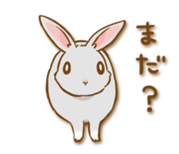 My rabbit Chiyoko sticker #13077995