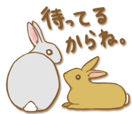 My rabbit Chiyoko sticker #13077996