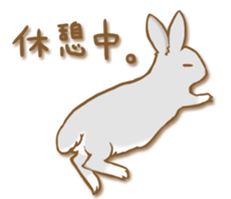 My rabbit Chiyoko sticker #13077997