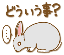 My rabbit Chiyoko sticker #13077999