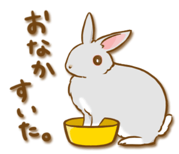 My rabbit Chiyoko sticker #13078001