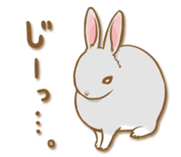 My rabbit Chiyoko sticker #13078002