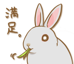 My rabbit Chiyoko sticker #13078006