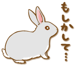 My rabbit Chiyoko sticker #13078007