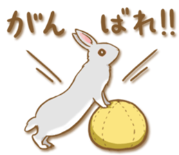 My rabbit Chiyoko sticker #13078009