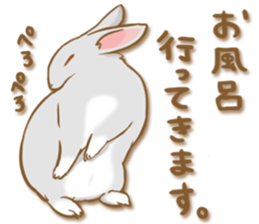My rabbit Chiyoko sticker #13078010