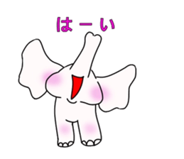 white elephant PAO sticker #13080010