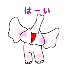 white elephant PAO sticker #13080010