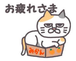 Of peaceful cat , happy every day2 sticker #13080017