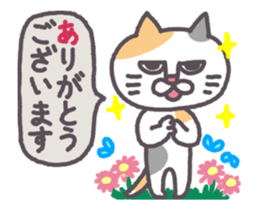 Of peaceful cat , happy every day2 sticker #13080019