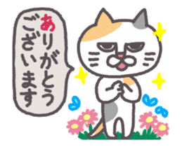 Of peaceful cat , happy every day2 sticker #13080019