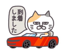 Of peaceful cat , happy every day2 sticker #13080023
