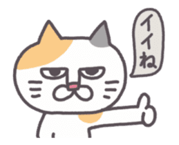 Of peaceful cat , happy every day2 sticker #13080030