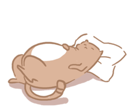 fat Qcat sticker #13080677