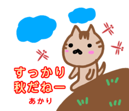 namae from sticker akari sticker #13081003