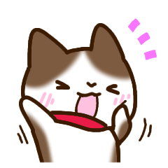 Brown and white cat.