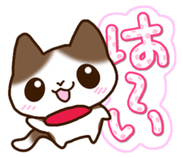 Brown and white cat. sticker #13084838