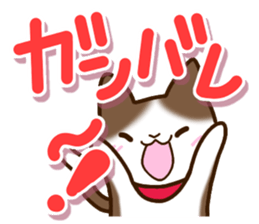 Brown and white cat. sticker #13084849